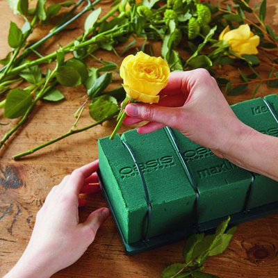 Green Wet Foam Oasis Brick Ideal For Fresh Floral Crafts Flower Arranging Oasis from B&Q