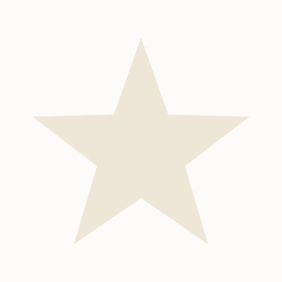 Galerie Style Sisters Single Star Beige Cream Ss21243 A4 Wallpaper Sample from B&Q