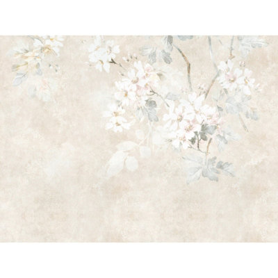 Galerie Welcome Home Beige Delicate Bloom Haze A4 Sample from B&Q