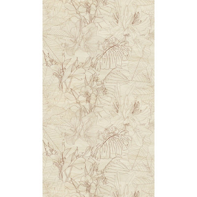 Galerie Welcome Home Beige Delicate Botanical Sketch A4 Sample from B&Q