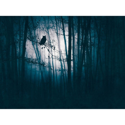 Galerie Welcome Home Blue Owl In Moonlight A4 Sample from B&Q