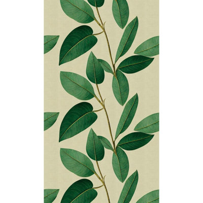 Galerie Welcome Home Green Stylized Botanical Design Featuring Rich Foliage A4 Sample from B&Q