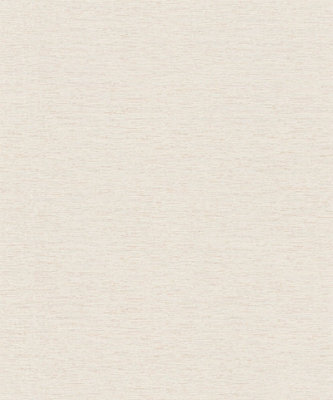Galerie Flourish Beige Plain Texture A4 Wallpaper Sample Fl61134 from B&Q