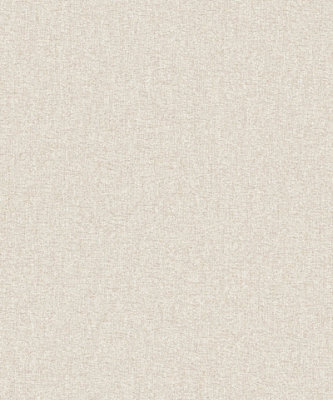 Galerie Flourish Beige Plain Texture A4 Wallpaper Sample Fl61146 from B&Q