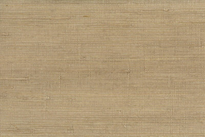 Galerie Grasscloth 2 Pearlescent Light Brown Raw Jute Grasscloth A4 Wallpaper Sample from B&Q