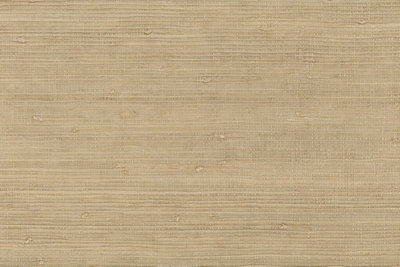 Galerie Grasscloth 2 Pearlescent Beige/brown Raw Jute Grasscloth A4 Wallpaper Sample from B&Q