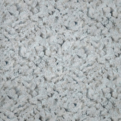Galerie Salt Arco Poppy Seed 3D Embossed Lustre Flower Leaf A4 Wallpaper Sample from B&Q