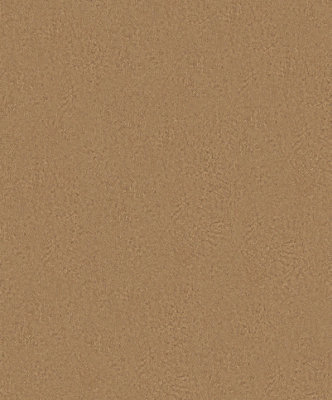 Galerie Odyssey Brown Weathered Texture A4 Wallpaper Sample from B&Q