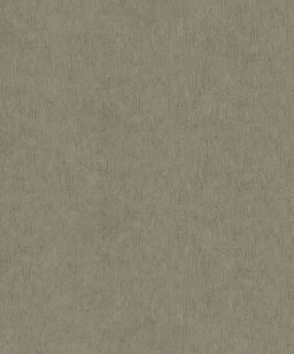 Galerie Odyssey Grey Brown Plaster Effect A4 Wallpaper Sample from B&Q