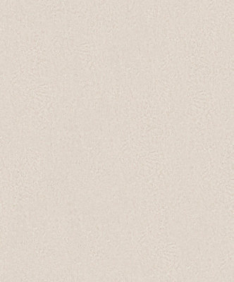 Galerie Odyssey Beige Weathered Texture A4 Wallpaper Sample from B&Q