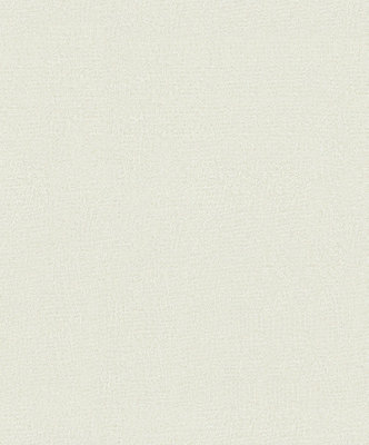 Galerie Odyssey Beige Plain Texture A4 Wallpaper Sample from B&Q