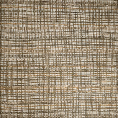 Galerie Salt Fondo Nutmeg Wild Grass Effect A4 Wallpaper Sample from B&Q