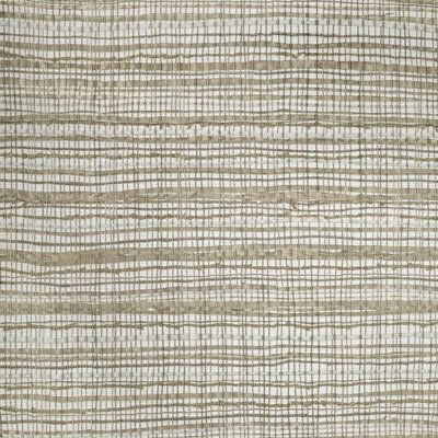 Galerie Salt Fondo Pine Nut Wild Grass Effect A4 Wallpaper Sample from B&Q