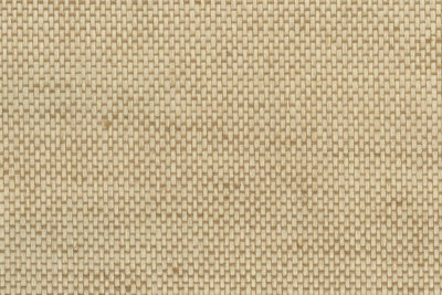 Galerie Grasscloth 2 Pearlescent Beige Paper Weave Grasscloth A4 Wallpaper Sample from B&Q