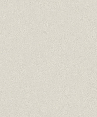 Galerie Odyssey Grey Weathered Texture A4 Wallpaper Sample from B&Q