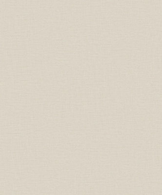 Galerie Lustre Collection Smooth Sheen Plain A4 Wallpaper Sample from B&Q