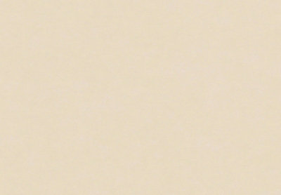 Galerie Purity Cream Plain Texture A4 Wallpaper Sample from B&Q