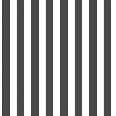 Galerie Tiny Tots 2 Black Regency Stripe Smooth A4 Wallpaper Sample from B&Q