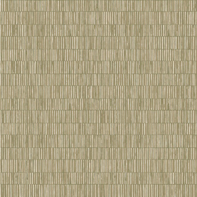 Galerie Zen Green Stripe Dwp0362-01 A4 Wallpaper Sample from B&Q