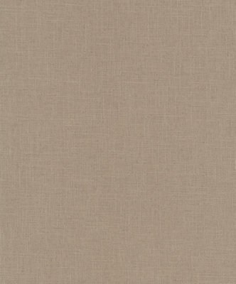 Galerie Bronze Brown Uni A4 Wallpaper Sample from B&Q