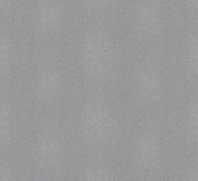 Galerie Air Collection Silver Stingray Design Sheen Textured A4 Wallpaper Sample from B&Q