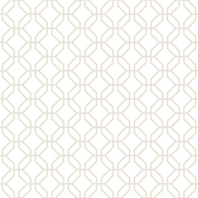 Galerie Secret Garden White/taupe Octogonal Trellis A4 Wallpaper Sample from B&Q