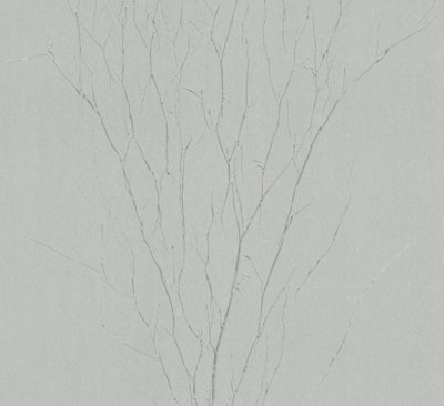 Galerie Natural Opulence Silver Beige Crinkle Effect A4 Wallpaper Sample from B&Q