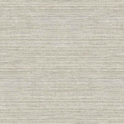 Galerie Just Kitchens Silver Grasscloth A4 Wallpaper Sample from B&Q