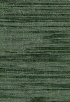 Galerie Daisy Bennett Green Grasscloth A4 Wallpaper Sample from B&Q