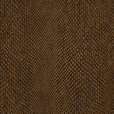 Galerie Enchanted Naja Bronze A4 Wallpaper Sample from B&Q