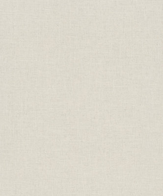 Galerie Beige Uni Plain Textured A4 Wallpaper Sample from B&Q