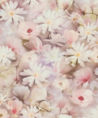 Galerie Blooming Wild Pink Romantic Daisy Motif A4 Wallpaper Sample from B&Q