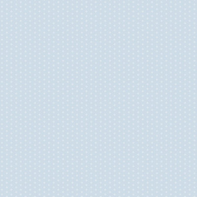 Galerie Pretty Prints Light Blue Swiss Dot Motif A4 Wallpaper Sample from B&Q