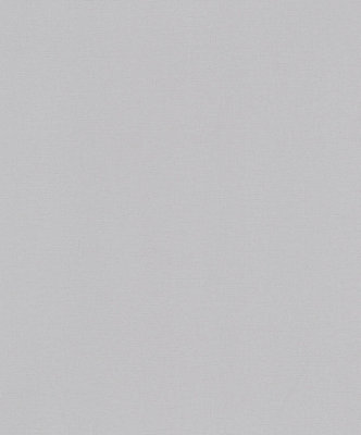 Galerie Flora Silver Matte Plain Texture A4 Wallpaper Sample from B&Q