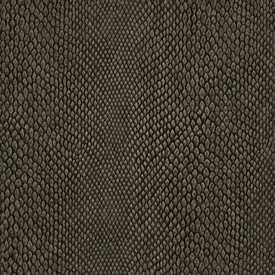 Galerie Enchanted Naja Greige A4 Wallpaper Sample from B&Q