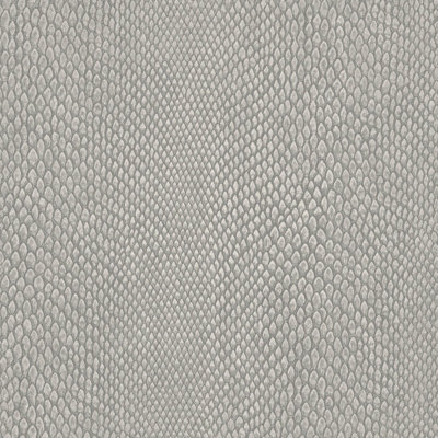 B&Q -  Enchanted Naja Silver A4 Wallpaper Sample