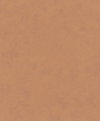 Galerie Terra Orange Earthy Texture Eco Clay A4 Wallpaper Sample from B&Q