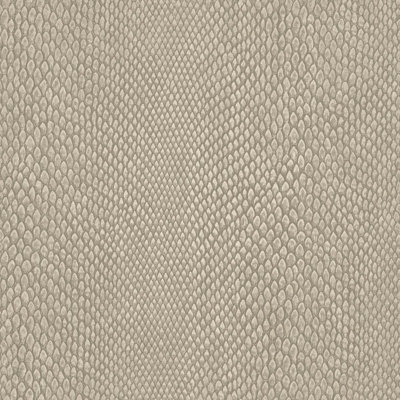 Galerie Enchanted Naja Beige A4 Wallpaper Sample from B&Q