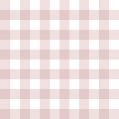 Galerie Little Explorers 2 Pink Tartan Boom A4 Wallpaper Sample from B&Q
