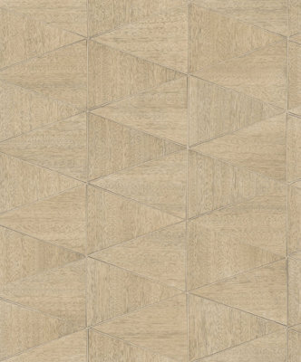 Galerie Bronze Brown Graphic A4 Wallpaper Sample from B&Q