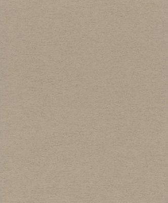 Galerie Bronze Brown Structure A4 Wallpaper Sample from B&Q