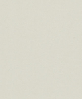 Galerie Flora Beige Matte Plain Texture A4 Wallpaper Sample from B&Q
