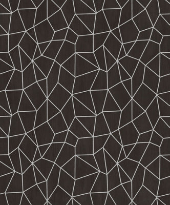 Galerie Special Fx Black Silver Glitter Web Embossed A4 Wallpaper Sample from B&Q