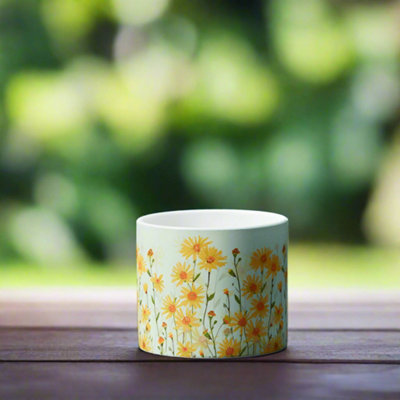 Satchville Ceramic Daisy Field Pot from B&Q