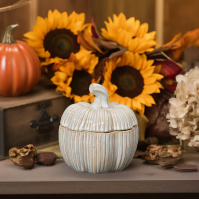 Satchville Pumpkin Pot With Lid from B&Q