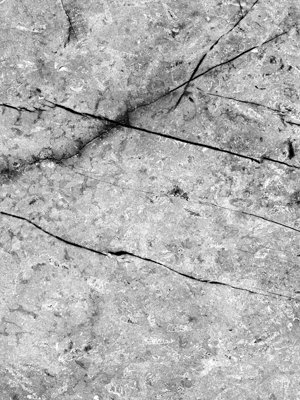 Alloy Fossil Marble Kitchen Splashback 600mm X 800mm X 4mm from B&Q
