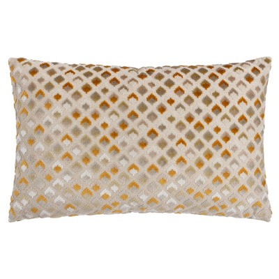 Paoletti Lexington Velvet Jacquard Feather Filled Cushion from B&Q