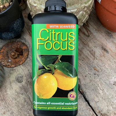 Growth Technology Citrus Focus With Seaweed Complete Feed For Citrus Plant 1L