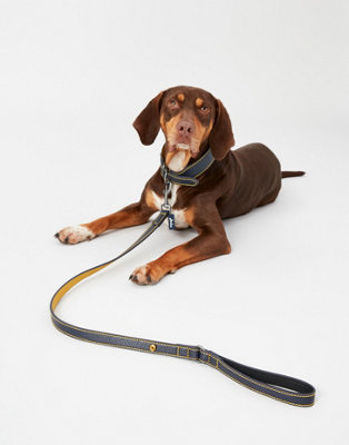Joules Navy Leather Dog Lead With Padded Handle from B&Q
