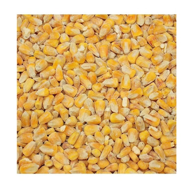 B&Q -  Whole Maize Chicken Feed 20Kg